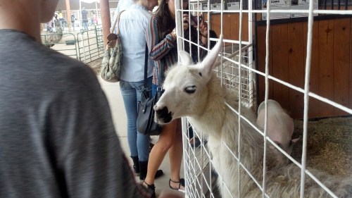 IMG_20130913_170921_664