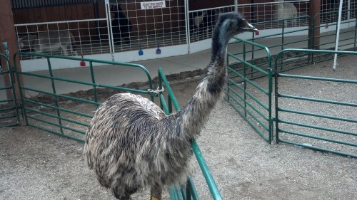 IMG_20130913_171452_182