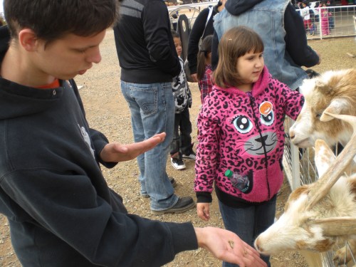 McCall's Pumpkin Patch 2013 040
