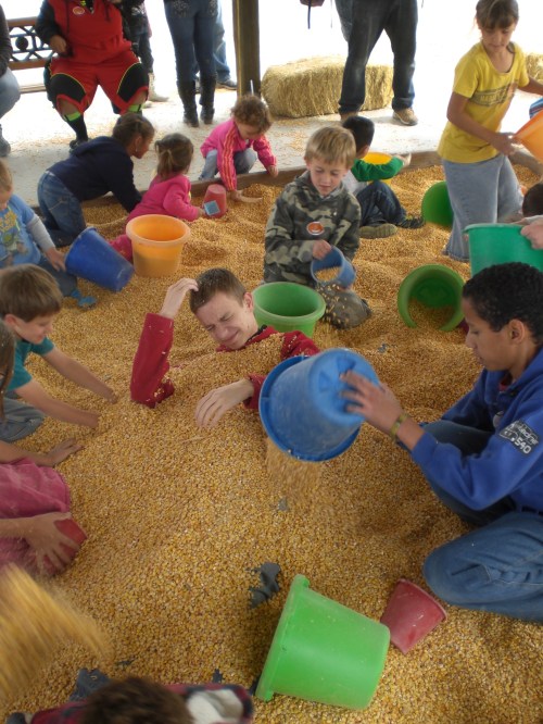 McCall's Pumpkin Patch 2013 102