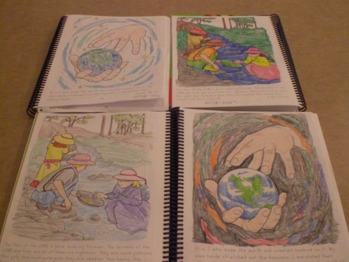 Review_Apologia chemistry physics 015