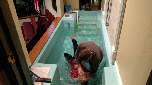 IMG_20150712_114528370